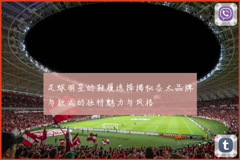 足球明星的鞋履选择揭秘各大品牌与款式的独特魅力与风格