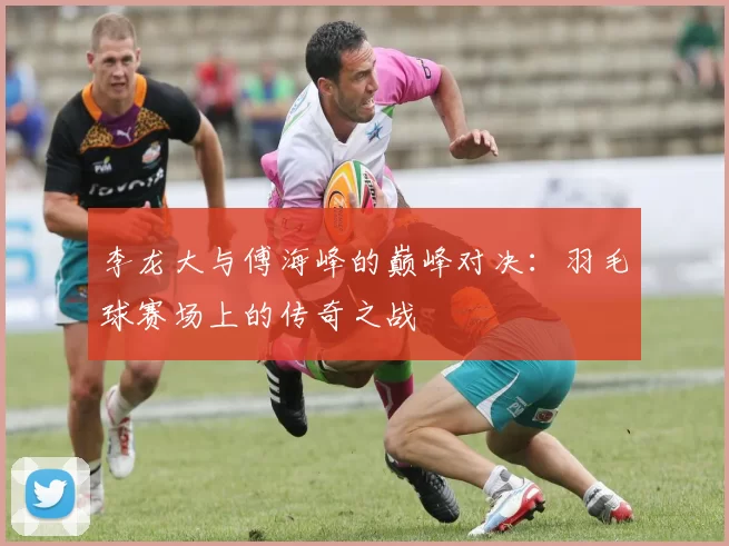 李龙大与傅海峰的巅峰对决：羽毛球赛场上的传奇之战