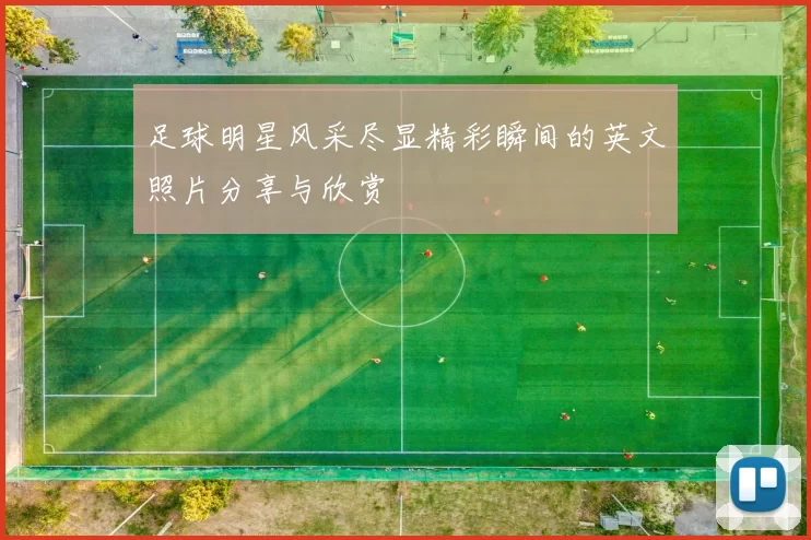 足球明星风采尽显精彩瞬间的英文照片分享与欣赏